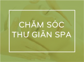 Đào tạo chăm sóc da mặt và chăm sóc da toàn thân